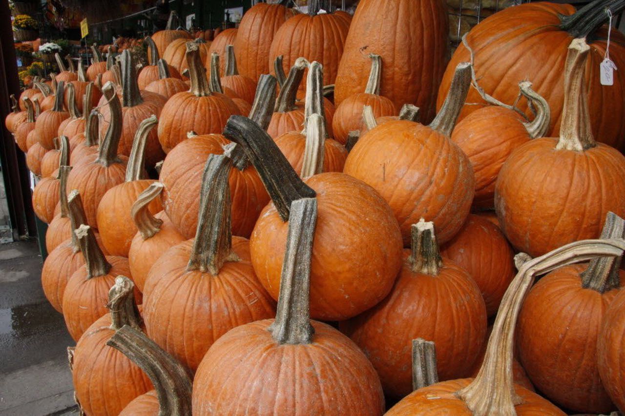 Here is our October 9th, 2020 Email update about Real Estate in Northwest Atlanta (primarily Woodstock, Canton, Roswell, Acworth, Alpharetta and parts of Marietta). 